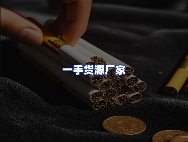 专业团队